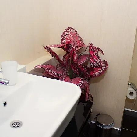 Oezay Aparthotel Sarigazi